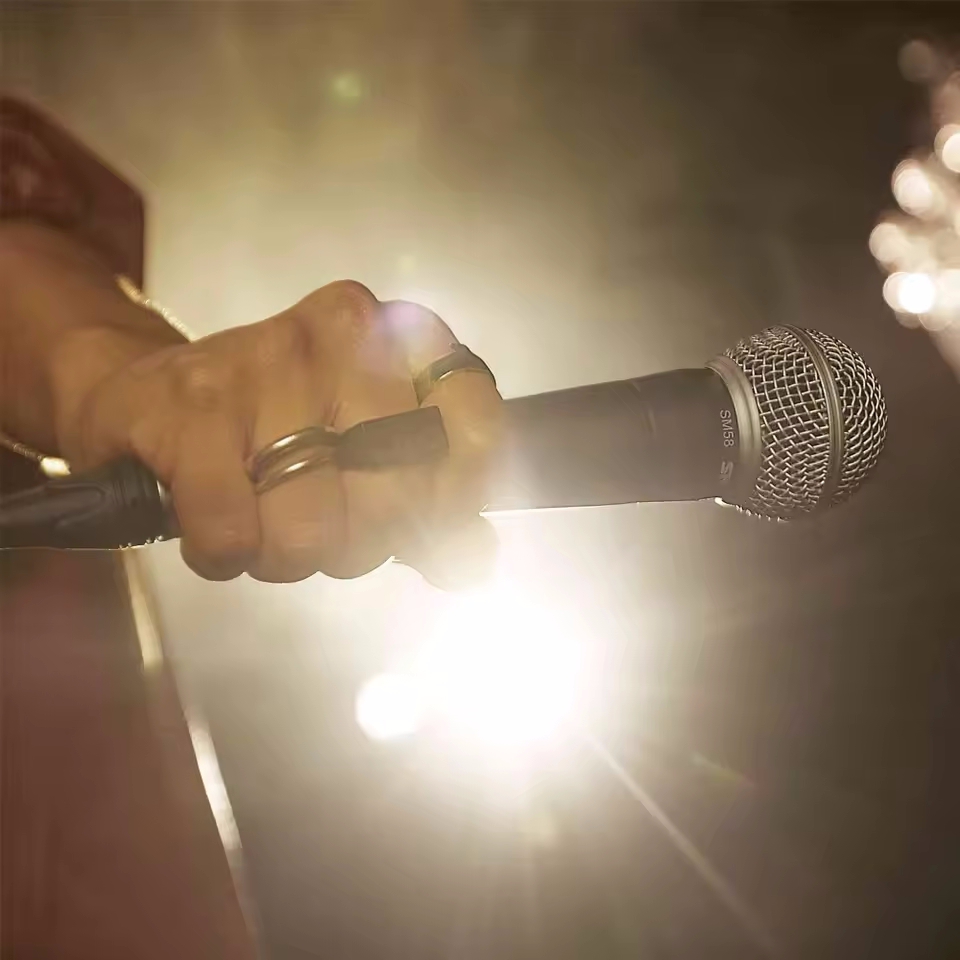 Karaoke Dynamic Microphone Pro - مراجعة Pc Gaming Live Streaming وسعره